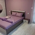 стоянови Ruse