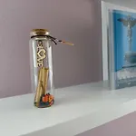 Appartement стоянови *