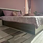 стоянови * Ruse