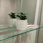 стоянови Ruse