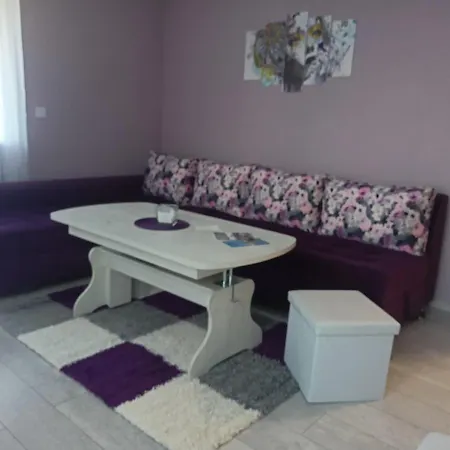 стоянови Ruse