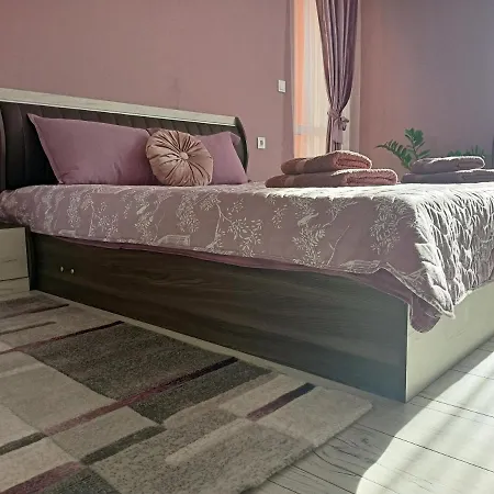 стоянови * Ruse