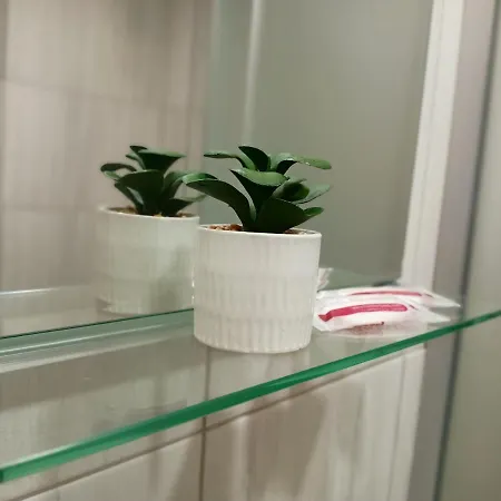 стоянови Ruse