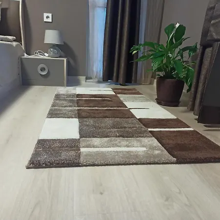 стоянови Appartement Ruse