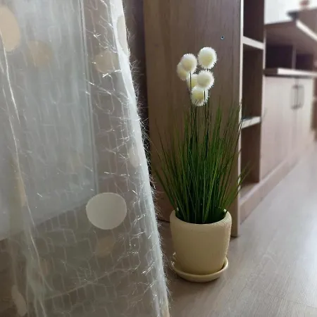 Appartement стоянови *