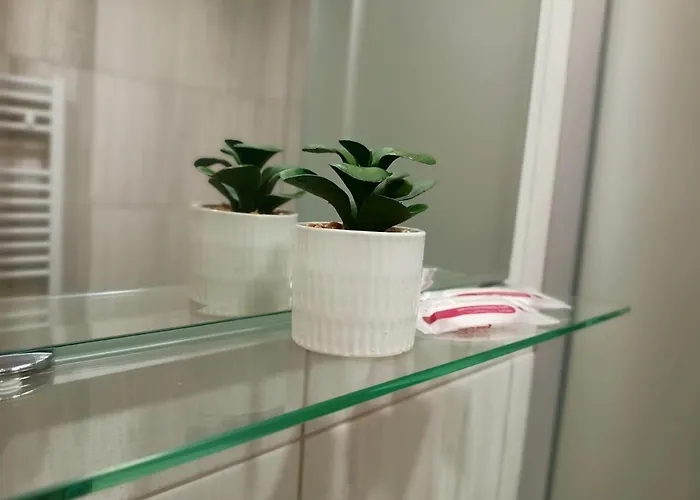 стоянови Ruse