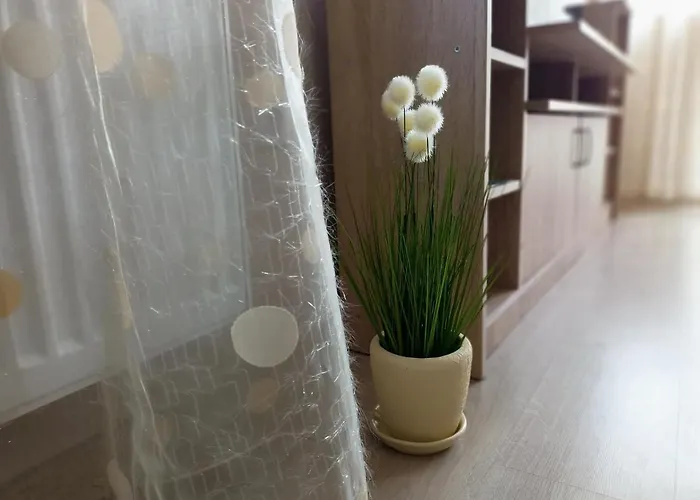 Lejlighed стоянови *