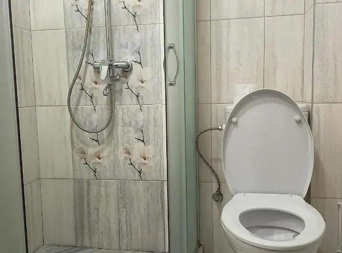 стоянови Ruse